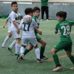 Las canteras galegas en baremo de su clasificaciones